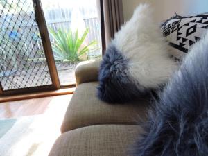 Cresta 1 Crescent Head