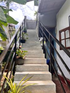 Melon Guest - Weligama