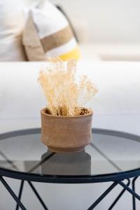 Acropolis Canvas-3BDR