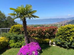 Sapanca Seyrusefa Bungalov