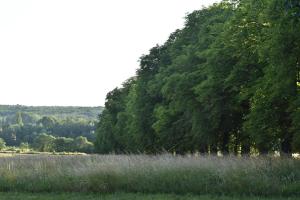 Château de Chavigny