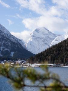 Alpenhotel Edelweiss