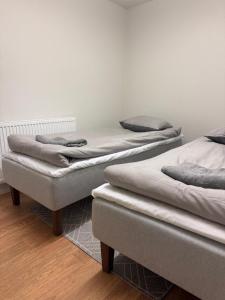 Arctic Elf Apartment