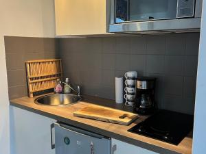 Studio lumineux au centre, jardin, parking, casier à skis - FR-1-624-56