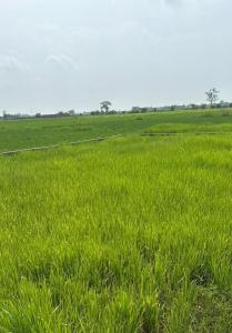 Shashank Infra Dreams