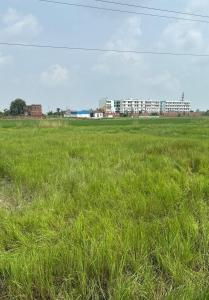 Shashank Infra Dreams