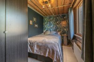 Kelorakkanen Visit Levi