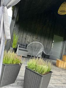 Siedlisko Widzimy Się