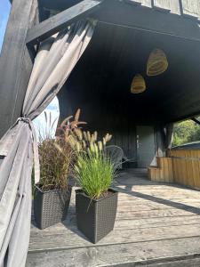 Siedlisko Widzimy Się