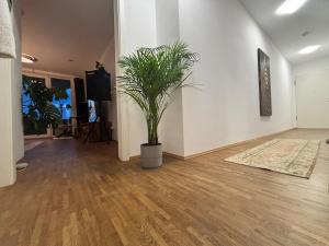 Elegant Furnished Apartment in Central Cologne for Long Stay