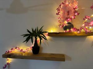 Swarga Fireflies Duo