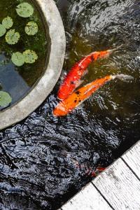 Seminyak Most Wanted Villa for family vacation