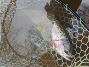 那須クイーンズマウンテン 動物王国への拠点 ペット歓迎 温泉完備 一棟ログハウス 超体験型 貸別荘 ファミリーリゾート 乗馬 釣り ふれあい動物園 那須