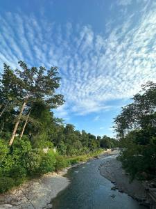 Orangutan Inn - Trekking & Transport Only Book With Us