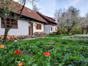 Apartmány Červený Dvůr