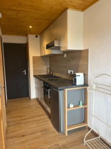 Appartement centre des Carroz