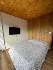 Appartement centre des Carroz