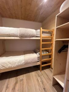 Appartement centre des Carroz