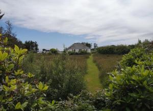 Nature Retreat - Sleeps 4 & Wild Ponies