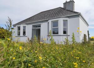 Nature Retreat - Sleeps 4 & Wild Ponies