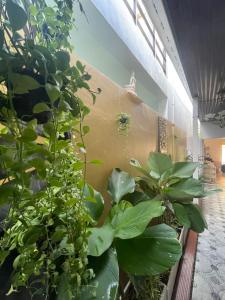 The Buddha Rawai Villa