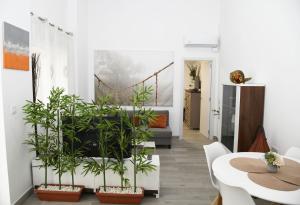 LovelyLoft Carolinas A