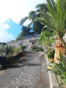 Appartamenti da Giorgio e Lina