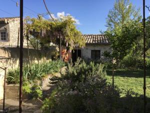 Un Mazet en famille dans le jardin