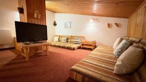 Grand duplex ensoleillé, forêt cheminée ski