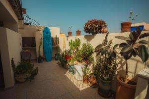 Surfers Heimat Hostel