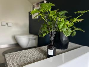 Ikigai B&B - wellness