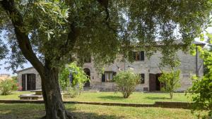 Ca Lucciola 12 by Marche Holiday Villas