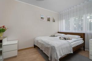 Red Apartment in Wrocław with Two Bedrooms and Desk for Remote Work by Noclegi Renters