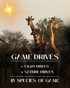 Big Cats Namibia Farmstay & Tours