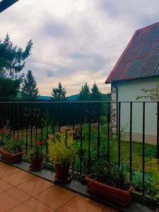 Casa rural Txorrota Txortako Txikia Selva de Irati