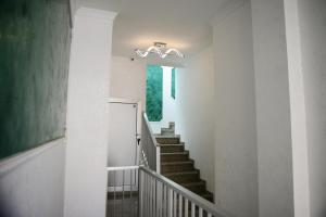 Cozy Central Apartments