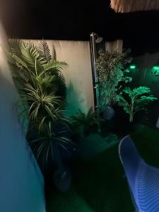 Terrasse privée, shower extérieur, parking privée