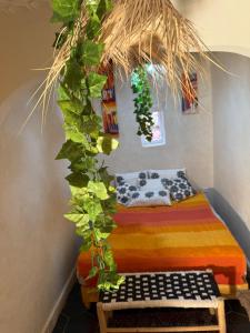 Riad Sarsar Dar dmana