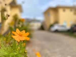 Residencial IL Pevero, condomínio com piscina e área gourmet a uma quadra da Praia de Taperapuã aptos com 2 quartos