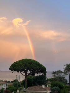 Cannes, Sea View, Beach Access, 3-Bedroom Apartment, 100 m2, 3 Bathrooms, Sleeps 6, 100 meters from Beach