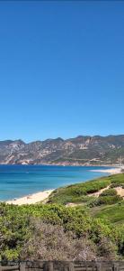 Hortensia Home img63