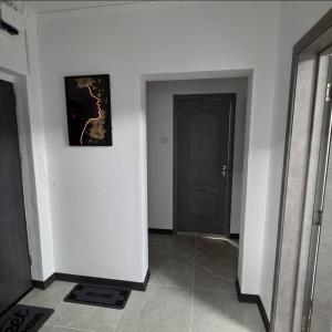 Zen apartament Metrou Nicolae Grigorescu