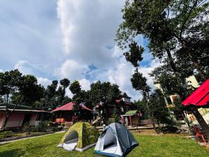 Rib Sweet Treetops Bed and Breakfast Tents 2 pax