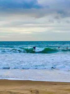 Boscombe Pier 10 min walk