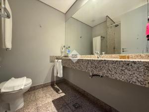 Lindo Flat - Hotel Mercure Lourdes #2