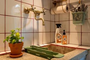 Hello Zeeland - Tiny House FlipFlop