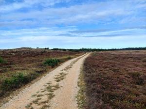 18 person holiday home in Nørre Nebel
