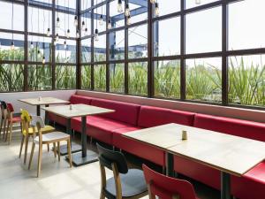 Ibis Irapuato
