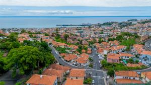 Living Funchal BU Apart.