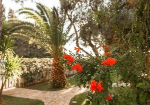 Villa Mari & Monticelli